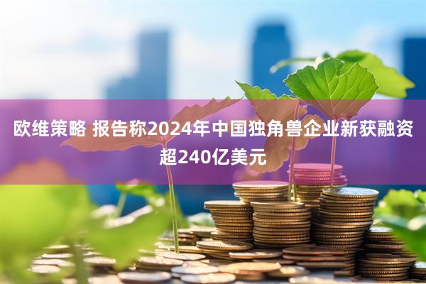 欧维策略 报告称2024年中国独角兽企业新获融资超240亿美元