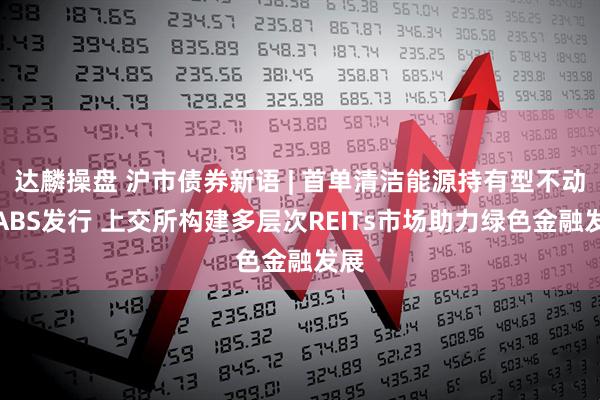达麟操盘 沪市债券新语 | 首单清洁能源持有型不动产ABS发行 上交所构建多层次REITs市场助力绿色金融发展